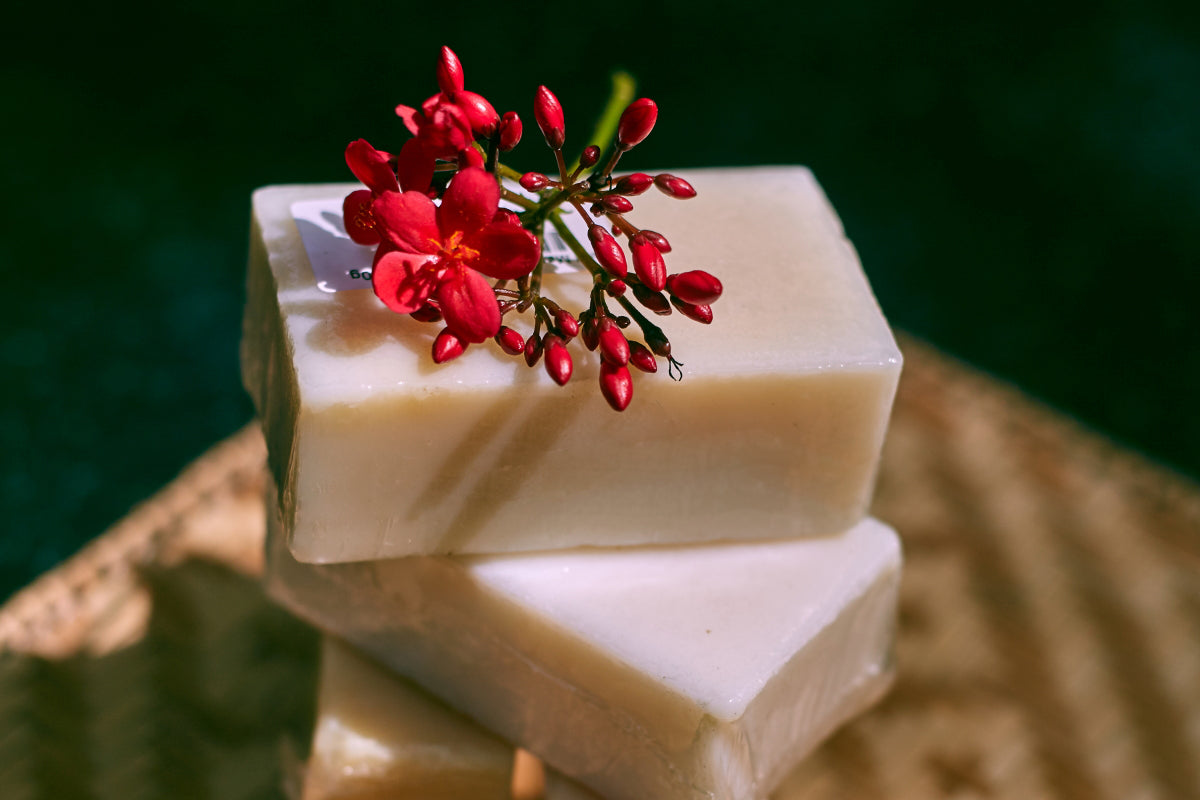 Handmade Soaps Paper Boat Collective Goa Bangalore